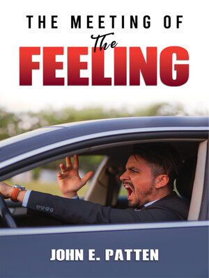 cover image of The Meeting of the Feeling